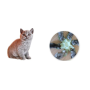 Gamelle fleur pour chatons et chiots