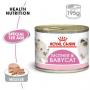 mousse mother baby cat royal canin