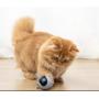 Balle trépidante interactive pour chat