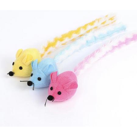 Souris multicolor