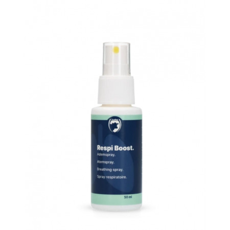 Spray respiratoire Respi Boost