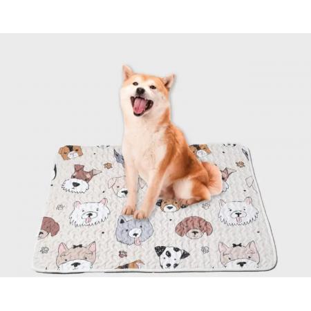 Tapis-absorbant-pour-chien