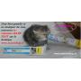 Kitten past Gimcat pour chaton - 50gr