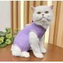 Body de stérilisation pour chat