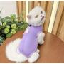 Body de stérilisation pour chat