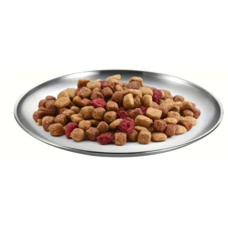 Assiette plate 14 cm
