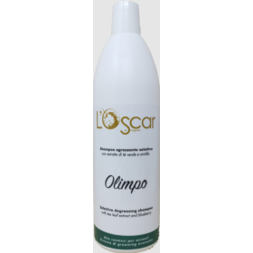 Shampoing Olimpo dégraissant -5 LITRES