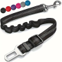 Ceinture de sécurité pour animaux