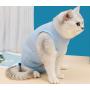 Body-de-sterilisation-pour-chat