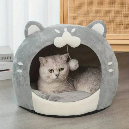Dome-chat-nuage