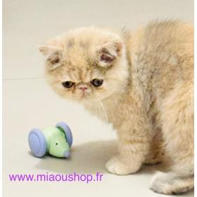 Souris-interactive-pour-caht-et-chaton