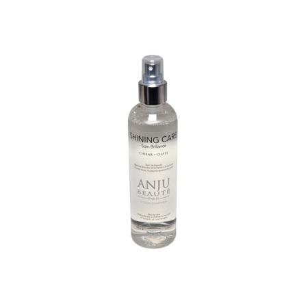 Spray Shining Care (brillance) - Anju Beauté 