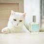 Parfum Love Thé Pêche Anju Beauté