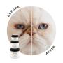 Starter Kit Eye Envy Chat